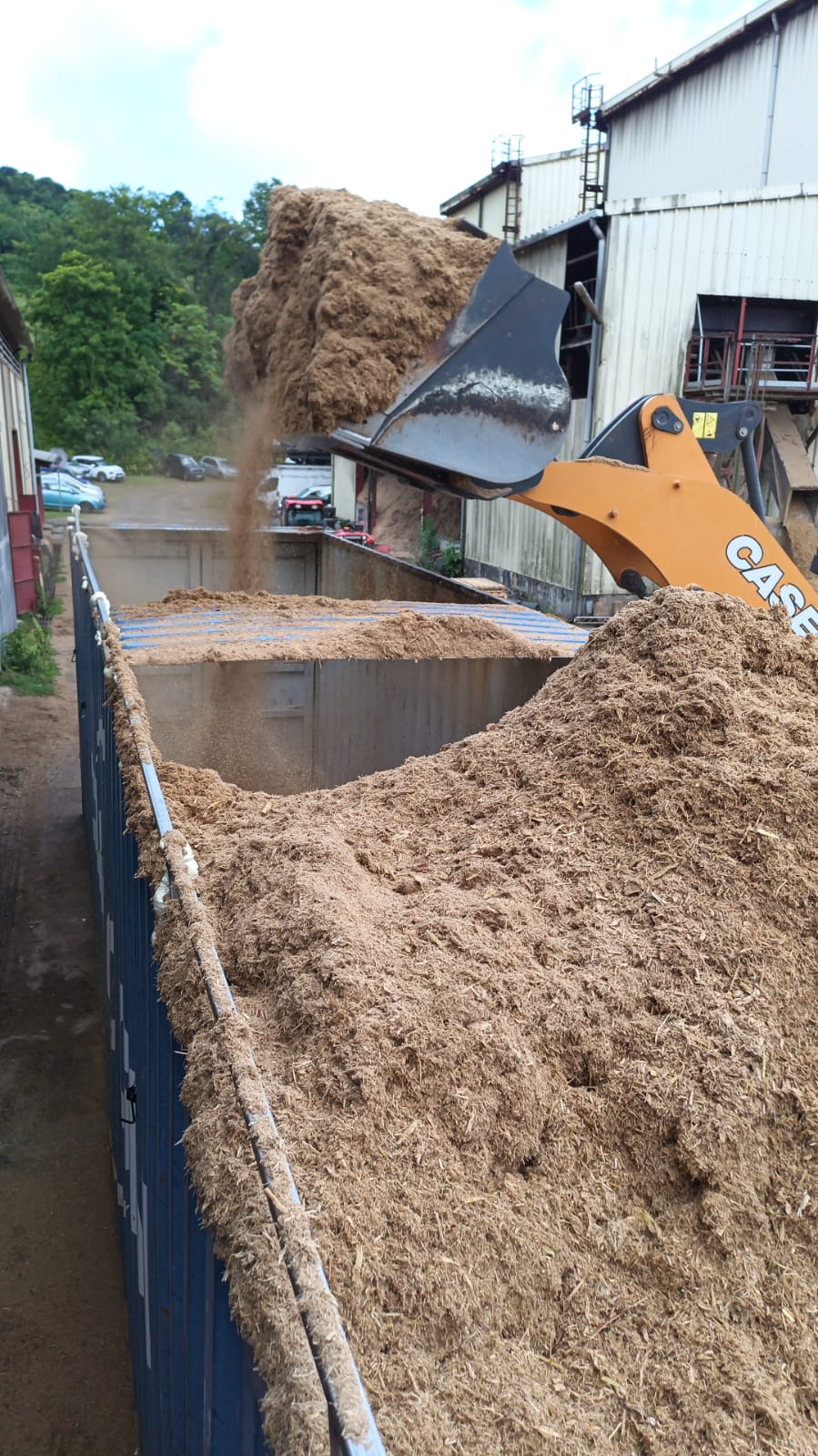 Bagasse de canne livrée à l'atelier